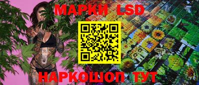 СК Донской