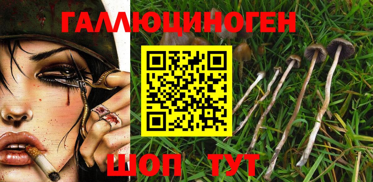 Воткинск  Псилоцибиновые грибы Psilocybe  Вход с VPN 